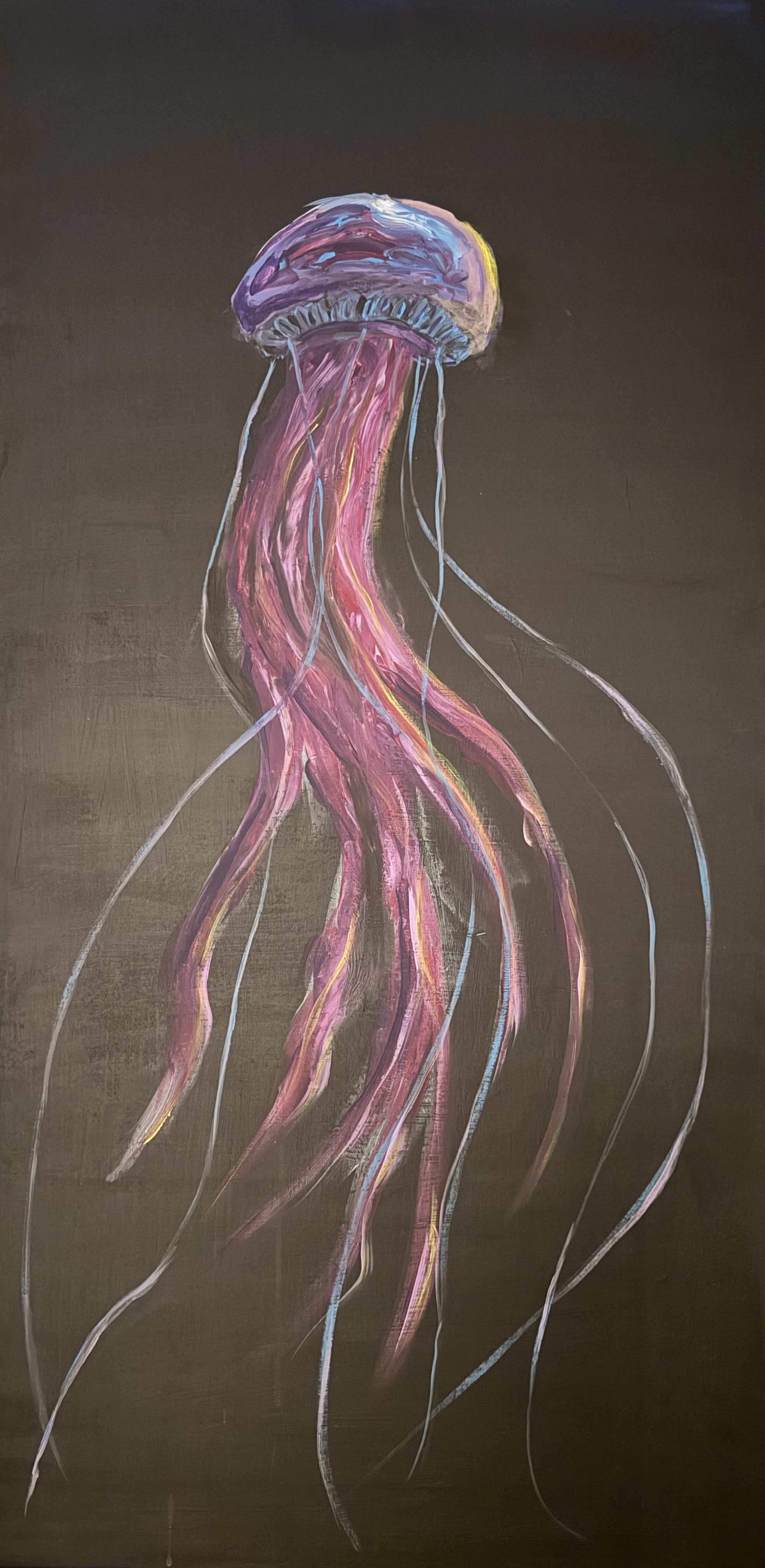 Meduse