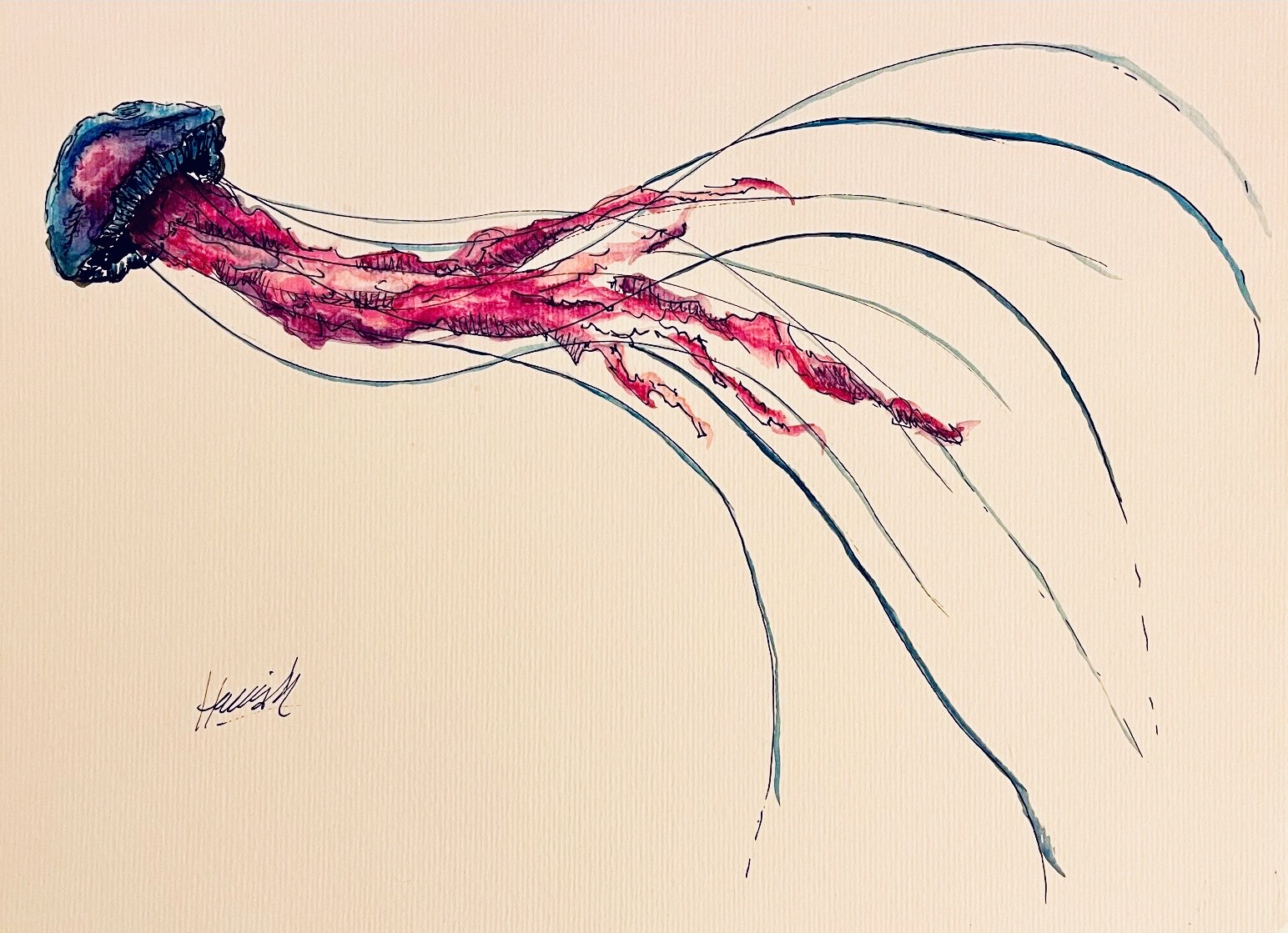 Meduse in Watercolour